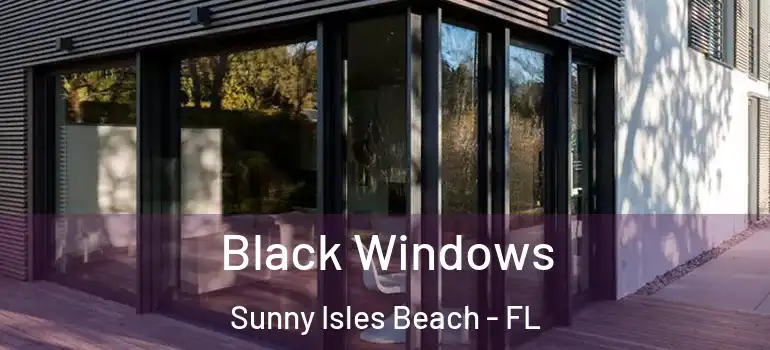 Black Windows Sunny Isles Beach - FL