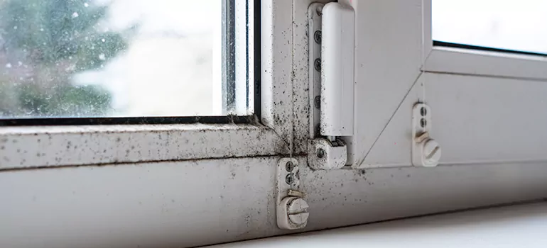 Sunny Isles Beach, FL