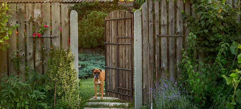Winter Garden Garage Door Repair in Sunny Isles Beach,[location field=state]