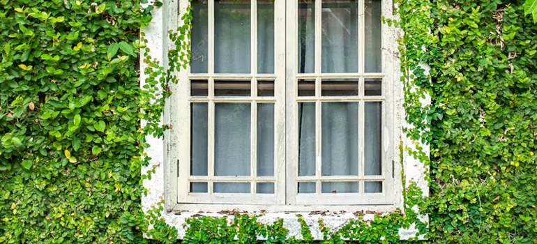 Garden Window Repair Near Me in Sunny Isles Beach, FL