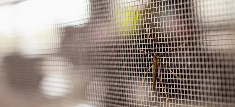 Repair Mosquito Mesh For Windows in Sunny Isles Beach, FL