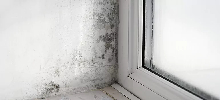 Sunny Isles Beach, FL