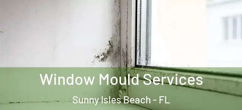  Window Mould Services Sunny Isles Beach - FL